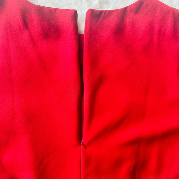 Flared Red Dress - Picture 6 of 6